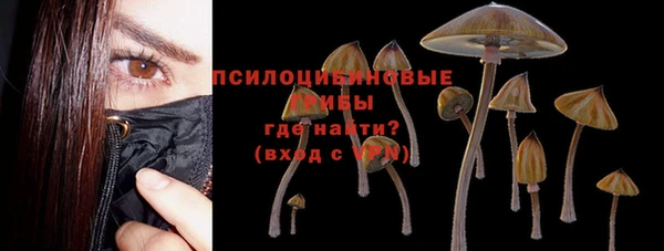 дмт Володарск