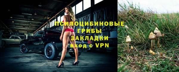 стафф Волосово
