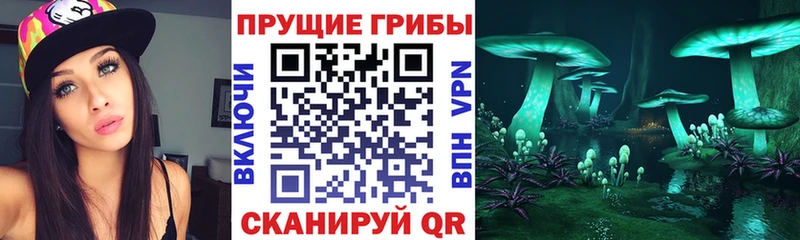Галлюциногенные грибы мухоморы  shop телеграм  Иннополис 